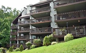 High Alpine Resort #310